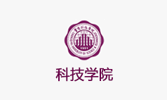 电商网站开发