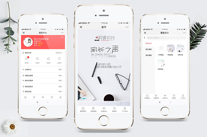 莉言莉行公众号成功交付
